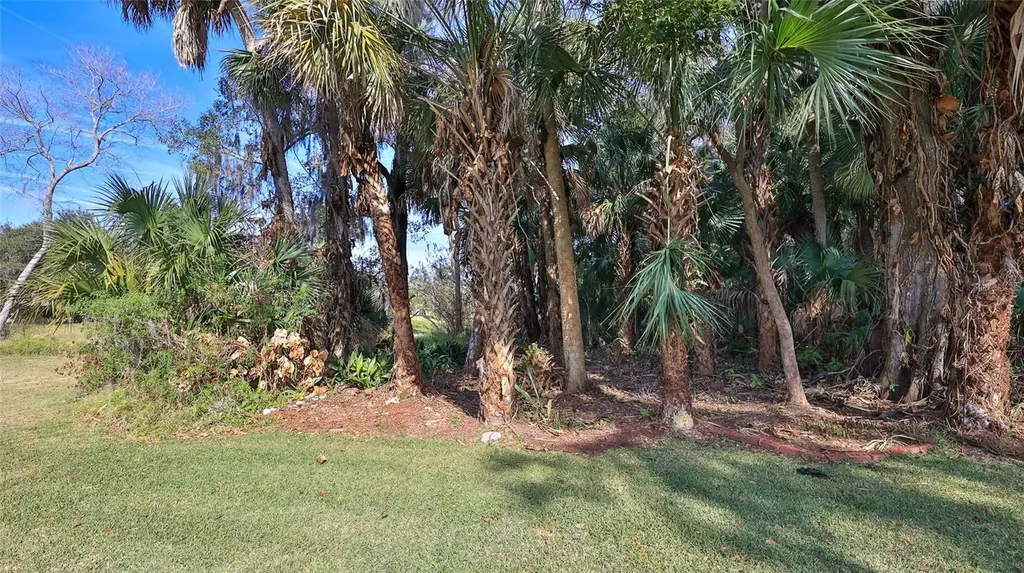 725 Green Road New Smyrna Beach FL 32168