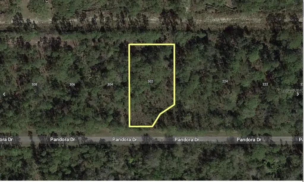 303 Japonica Avenue Indian Lake Estates FL 33855