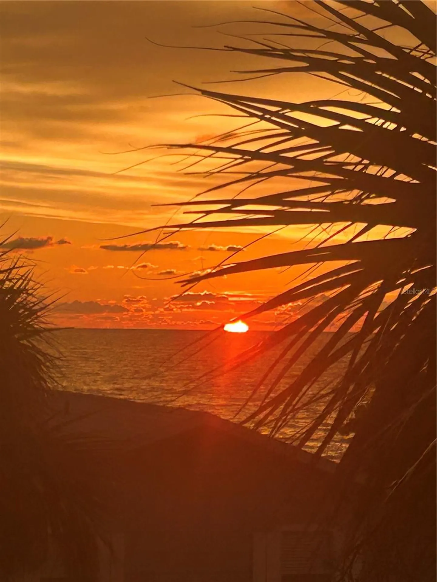 44 Gulf Boulevard Indian Rocks Beach FL 33785