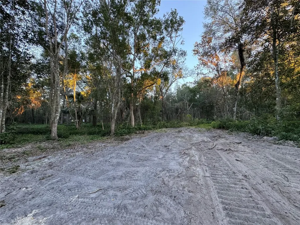 W Ohio Avenue Lake Helen FL 32744