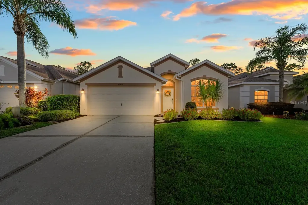 3203 Banyan Hill Lane Land O Lakes FL 34639