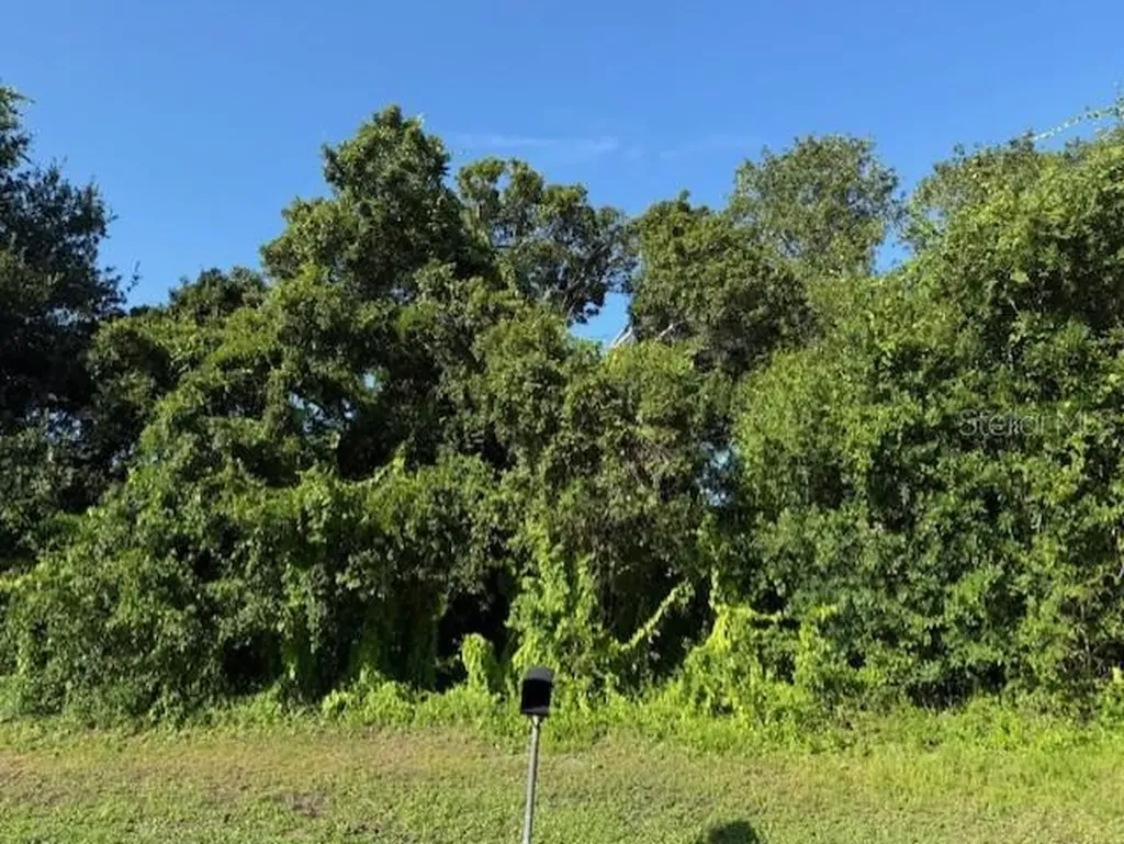 11335 Eighth Avenue Punta Gorda FL 33955