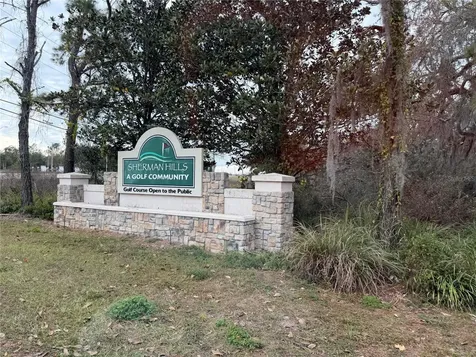 31018 Satinleaf Run Brooksville FL 34602