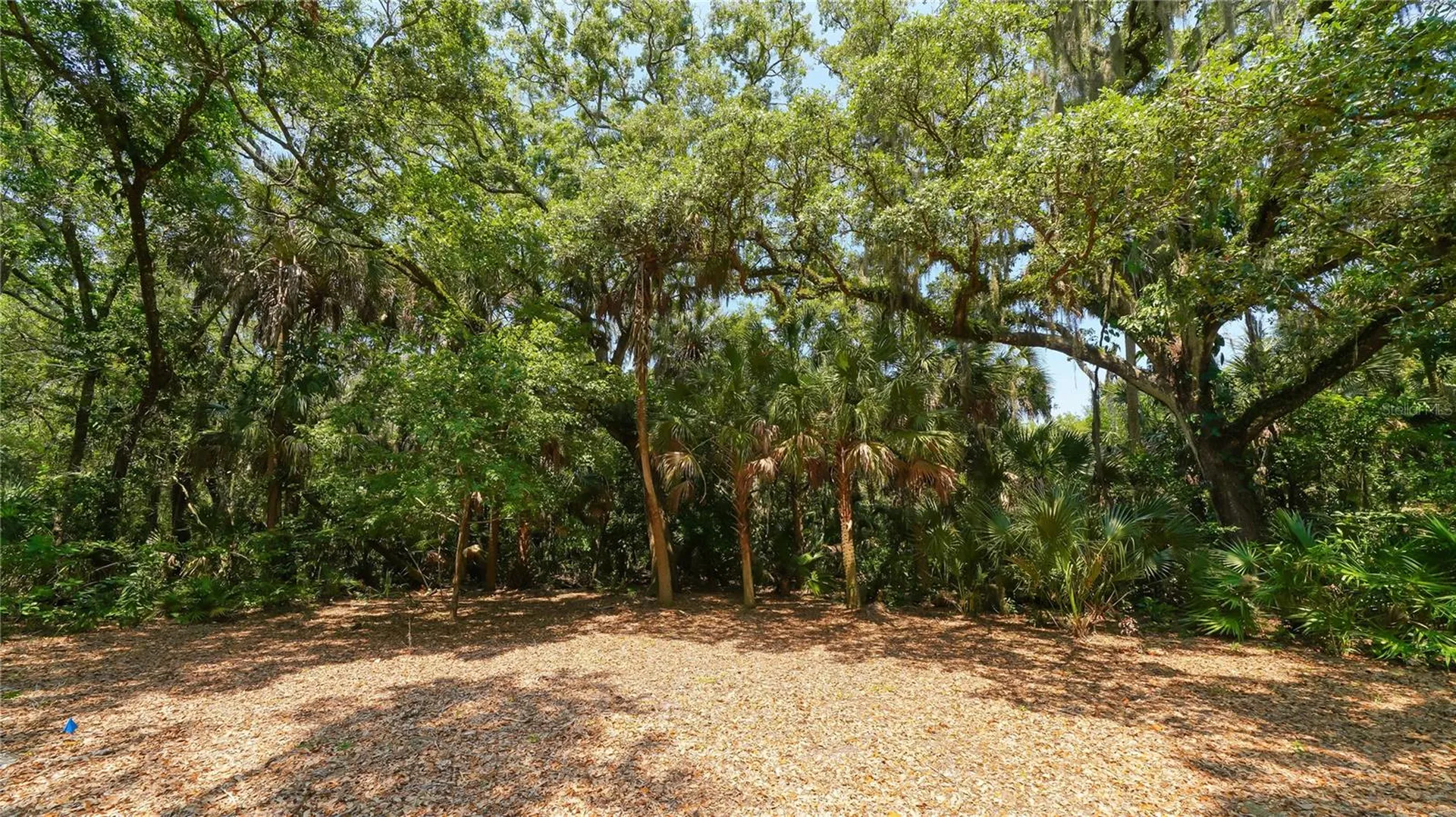 4855 Hoyer Drive Sarasota FL 34241