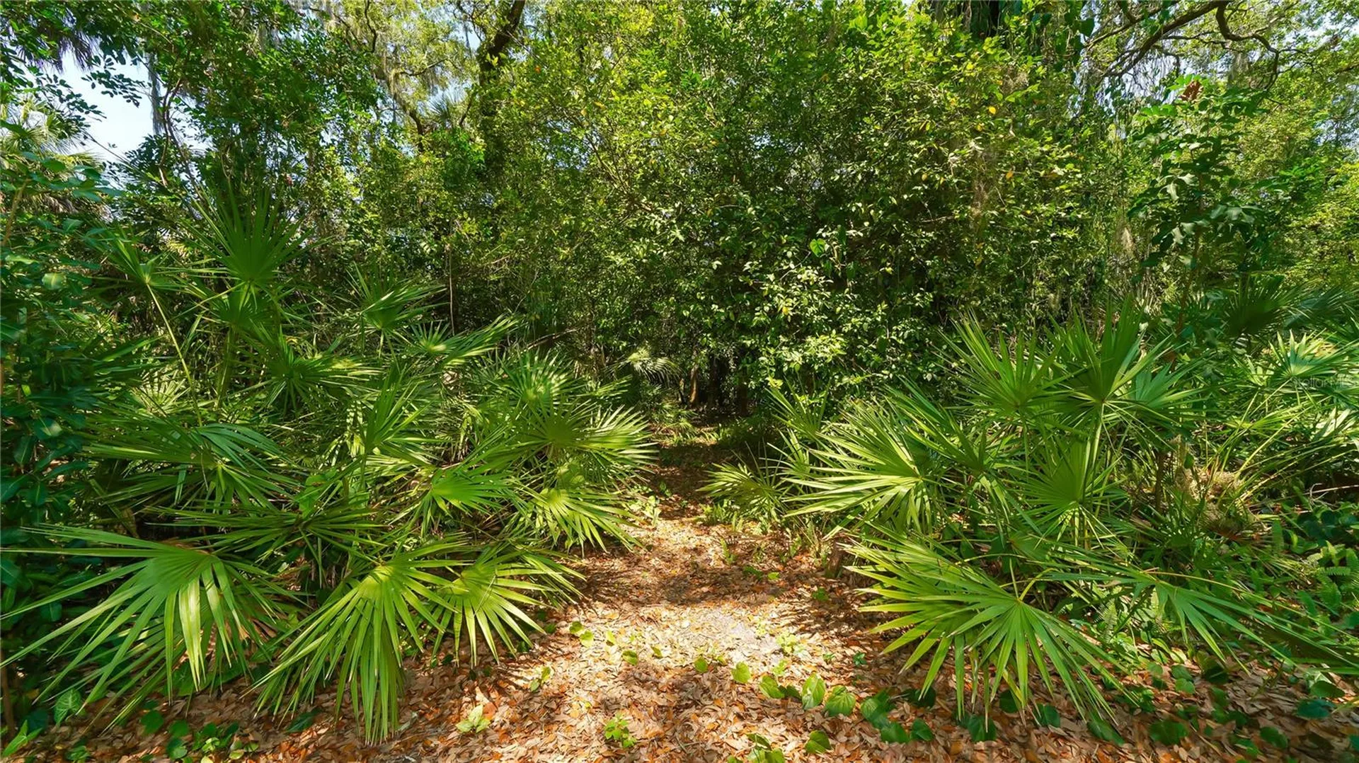 4855 Hoyer Drive Sarasota FL 34241