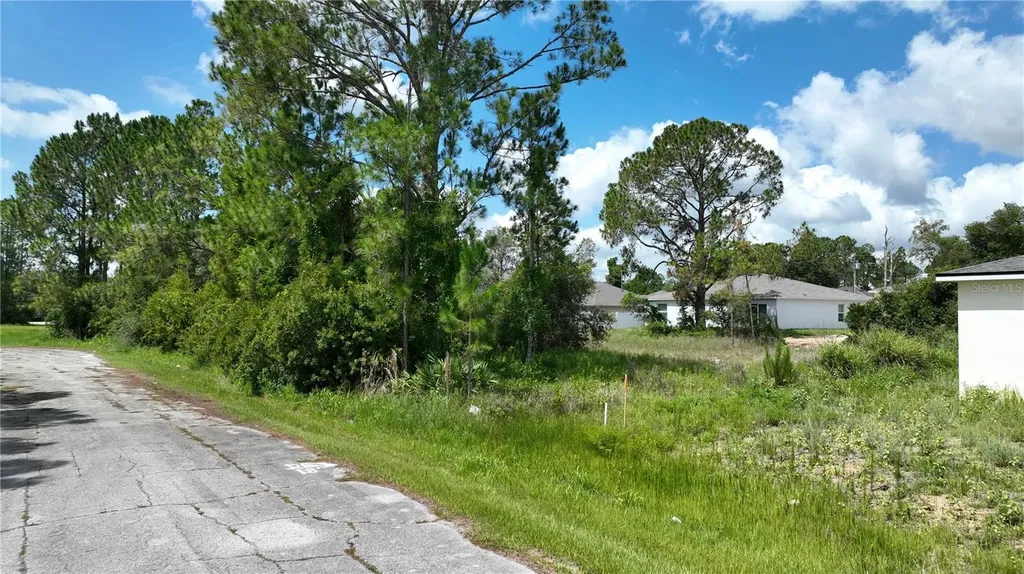 1212 Atlantic Way Kissimmee FL 34759