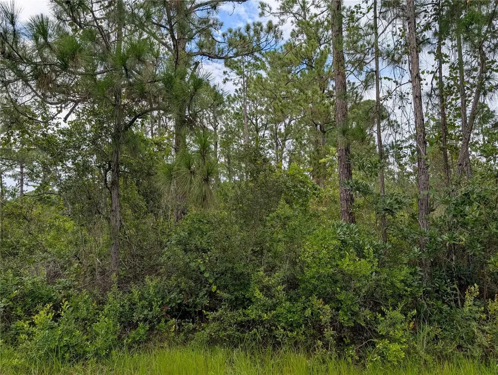 302 Pandora Drive Indian Lake Estates FL 33855