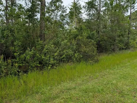 513 Calendula Drive Indian Lake Estates FL 33855