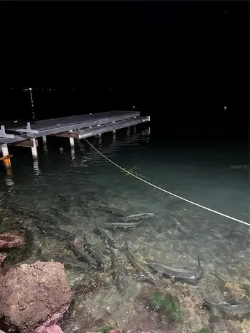 308 Bahia Real Ii Lot 2 Cabo Rojo PR 00623