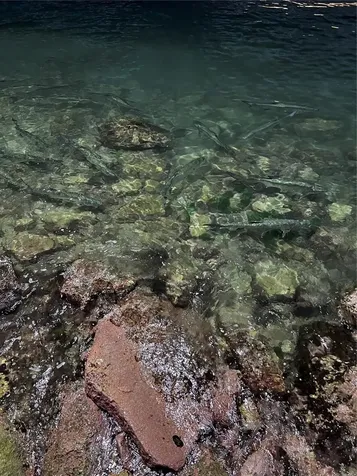 308 Bahia Real Ii Lot 2 Cabo Rojo PR 00623