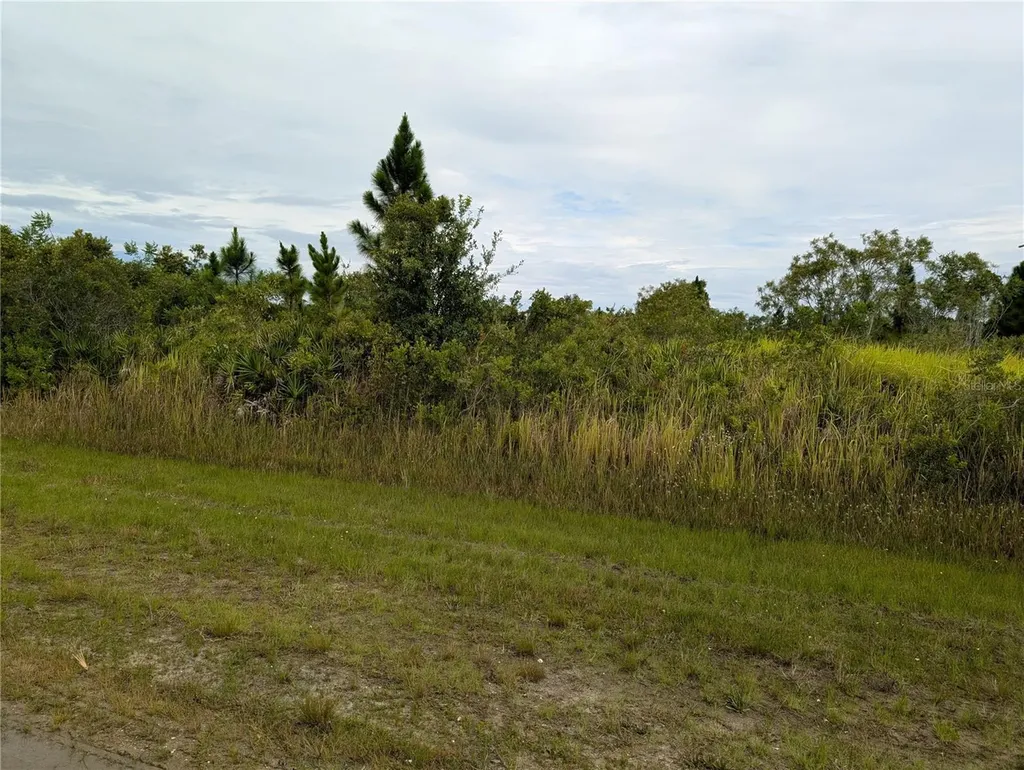 511 Calendula Drive Indian Lake Estates FL 33855