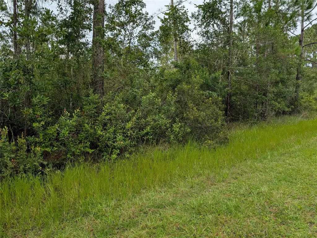 511 Calendula Drive Indian Lake Estates FL 33855