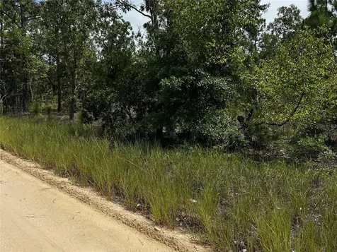 137 Beulah Drive Hawthorne FL 32640