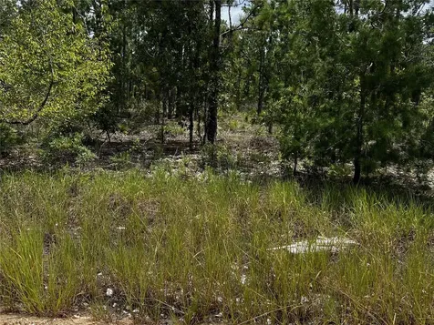 137 Beulah Drive Hawthorne FL 32640