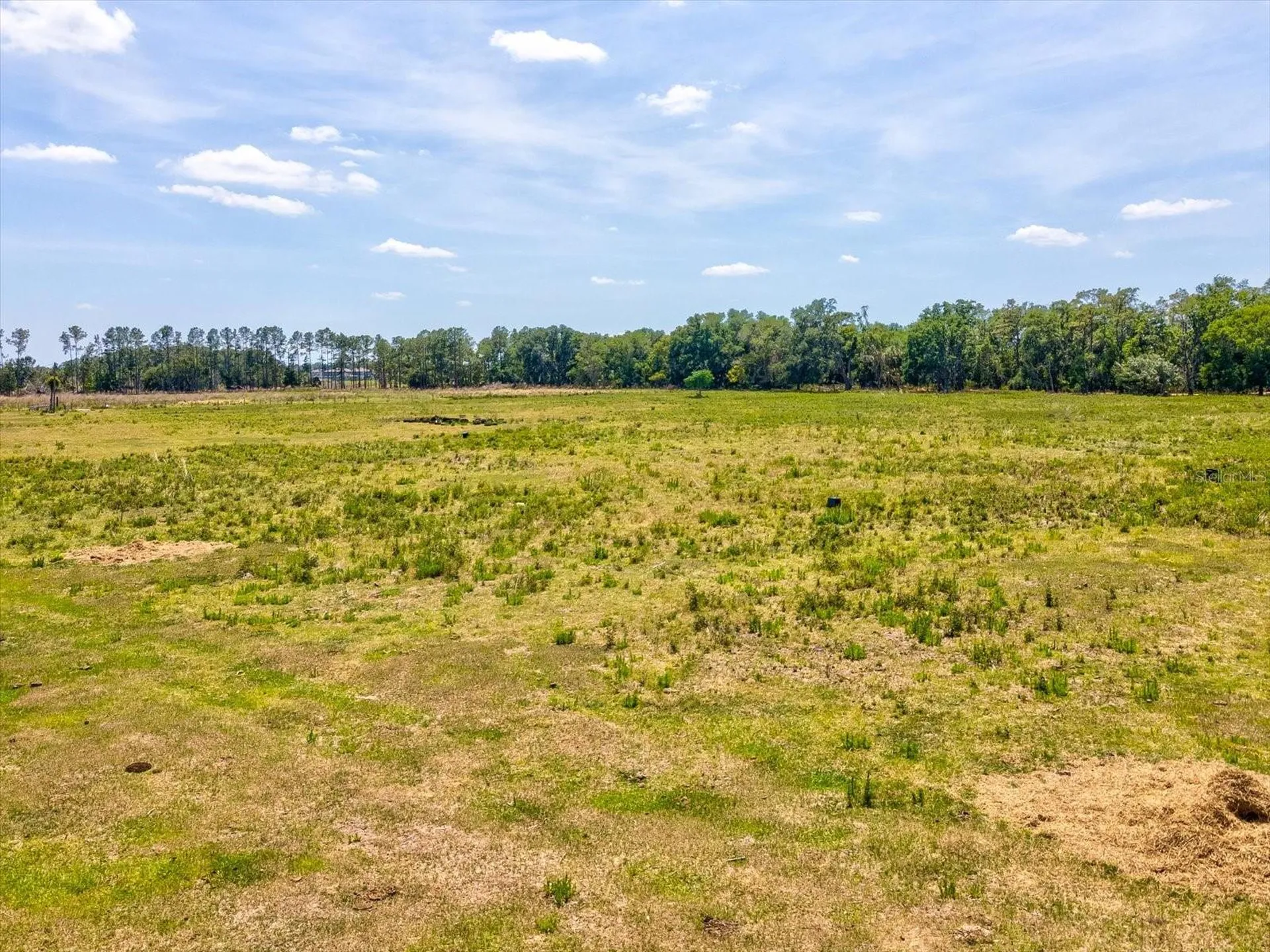8989 Ehren Cutoff Land O Lakes FL 34639