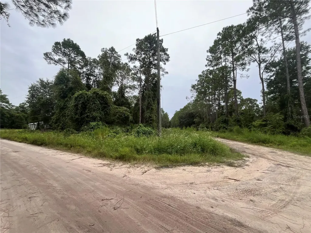 Hickory Nut Trail Satsuma FL 32189
