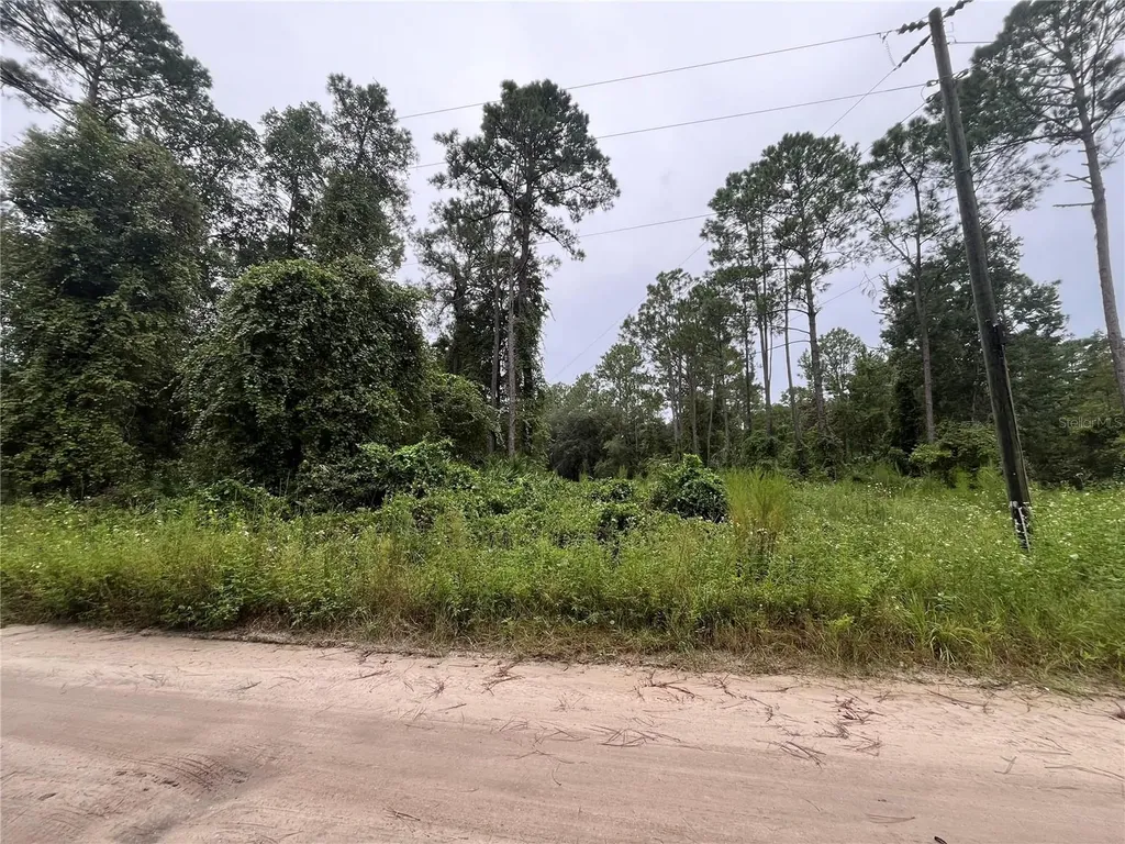 Hickory Nut Trail Satsuma FL 32189