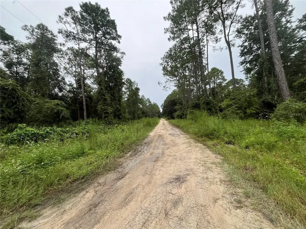 Hickory Nut Trail Satsuma FL 32189