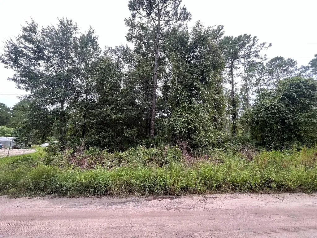 Hickory Nut Trail Satsuma FL 32189