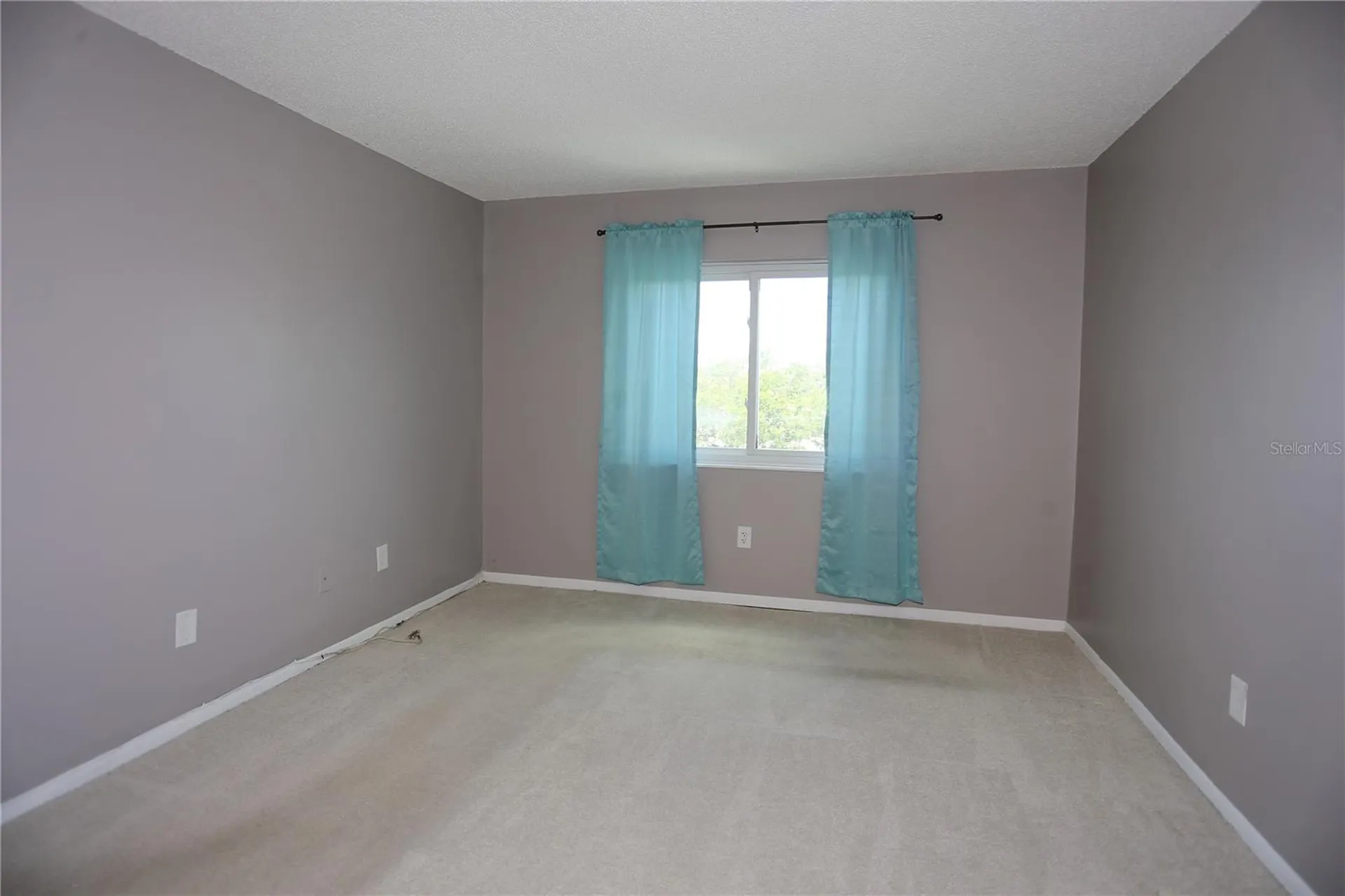 801 83rd Avenue N St Petersburg FL 33702