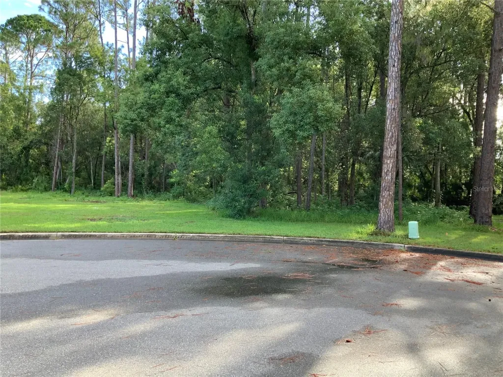 Timber Lane Eustis FL 32726