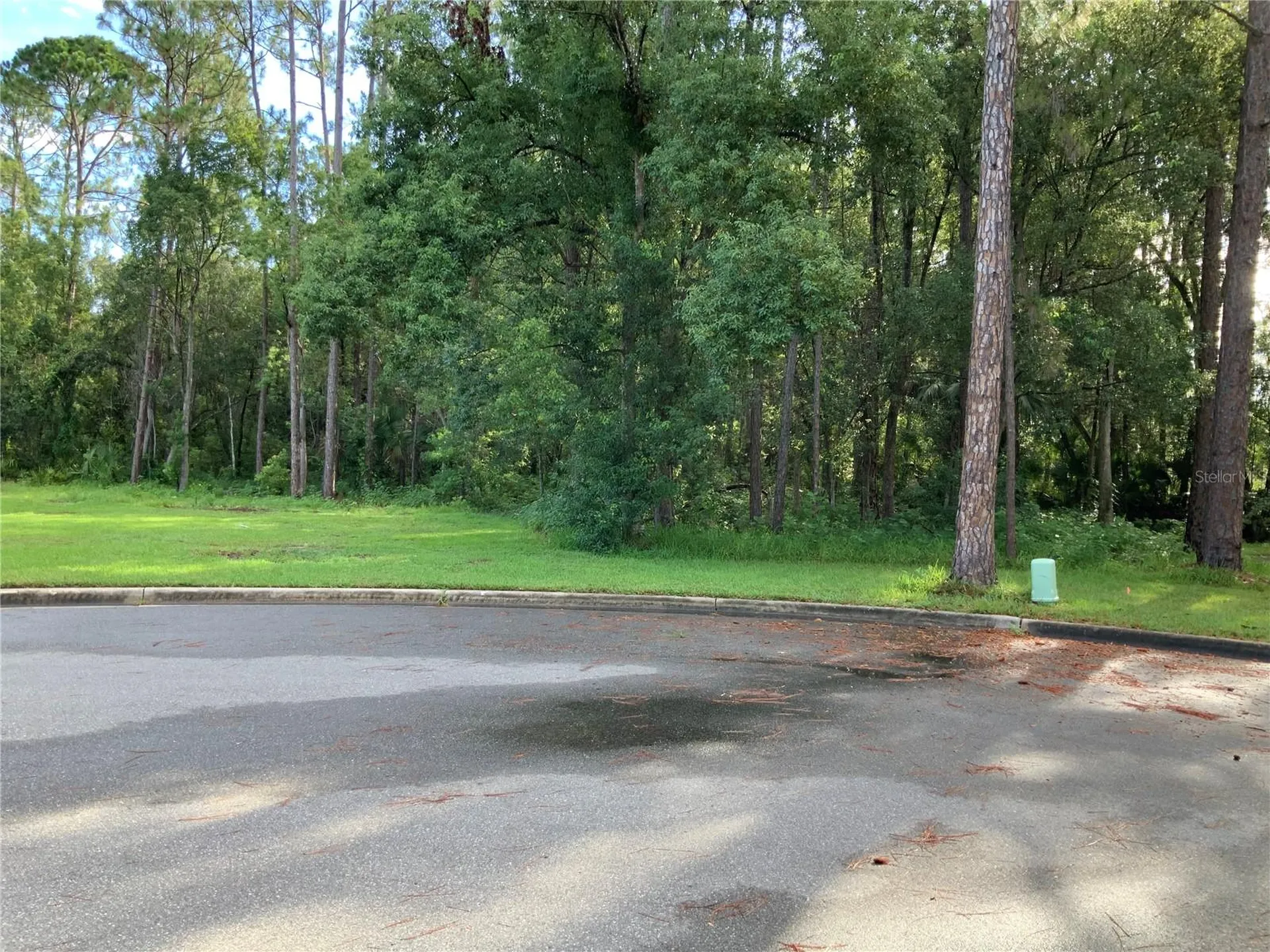 Timber Lane Eustis FL 32726