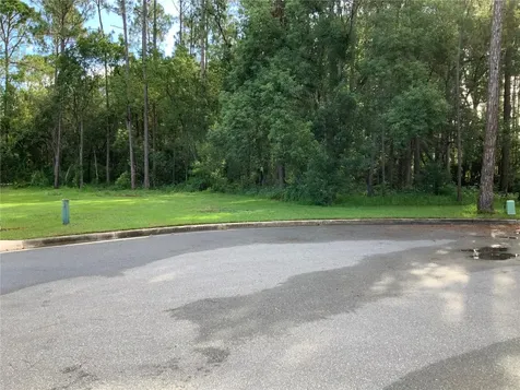Timber Lane Eustis FL 32726