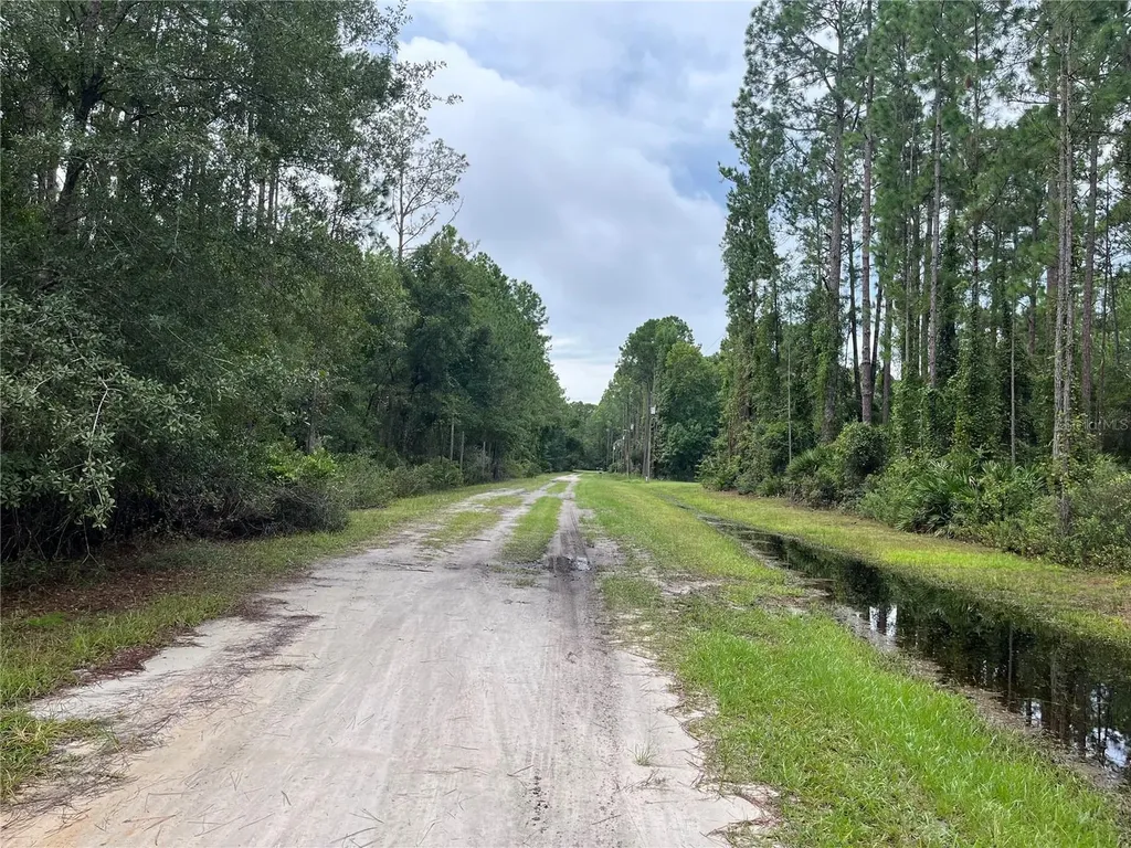 117 Mosswood Street Georgetown FL 32139