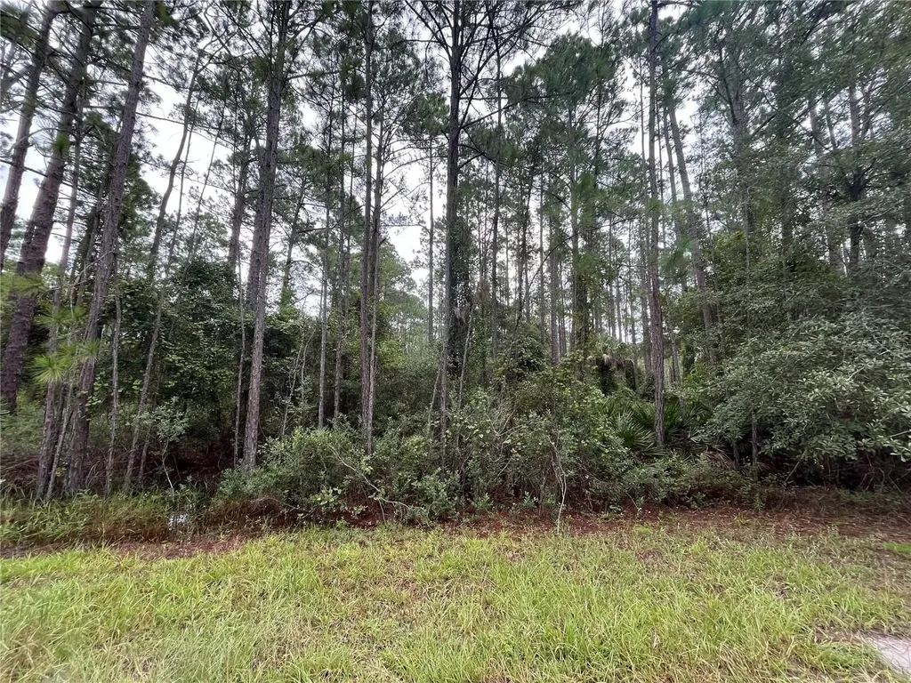 117 Mosswood Street Georgetown FL 32139