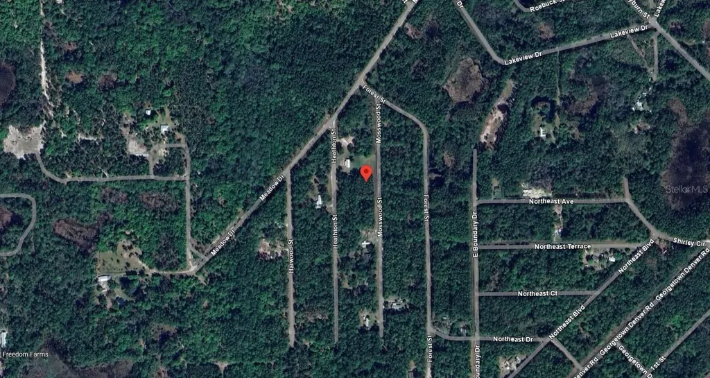 117 Mosswood Street Georgetown FL 32139