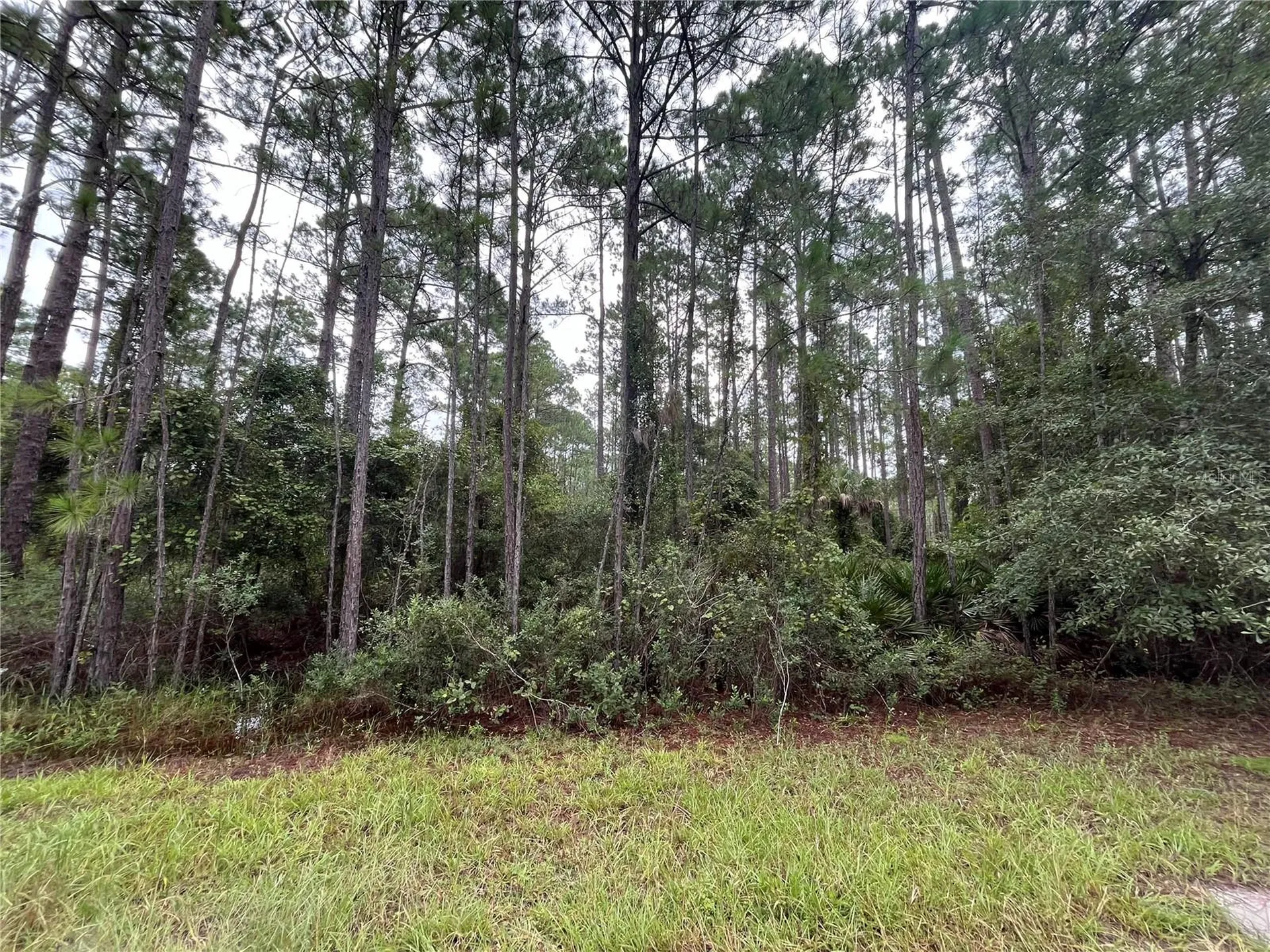 117 Mosswood Street Georgetown FL 32139
