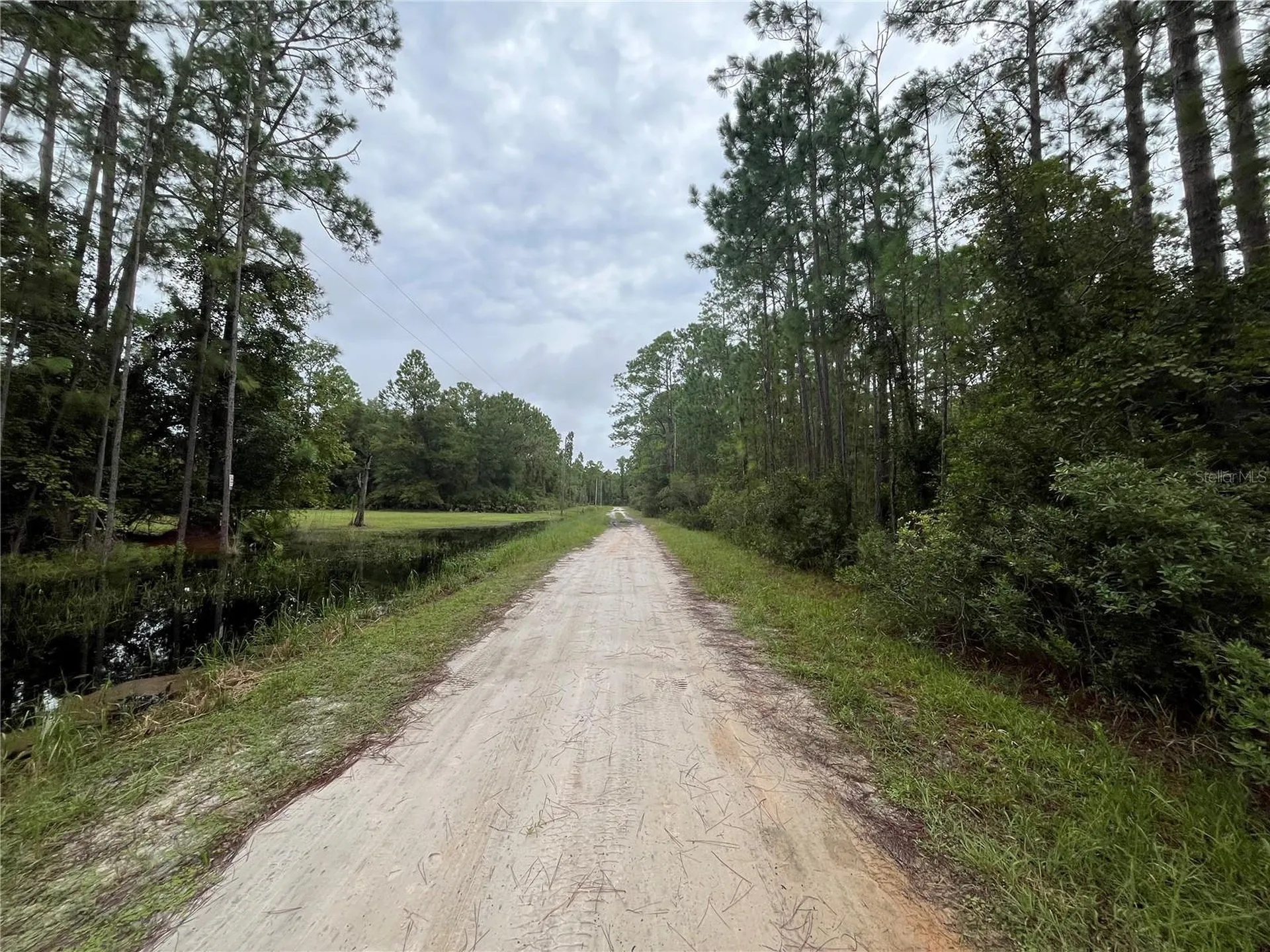 117 Mosswood Street Georgetown FL 32139