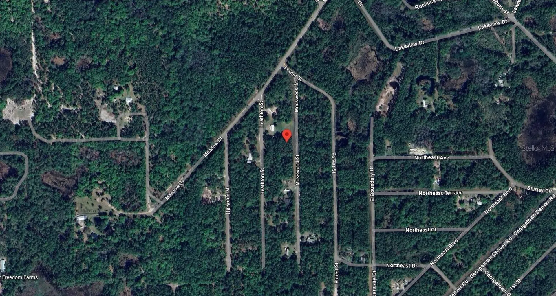 117 Mosswood Street Georgetown FL 32139