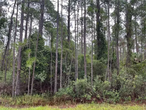 117 Mosswood Street Georgetown FL 32139