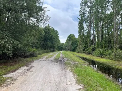 117 Mosswood Street Georgetown FL 32139