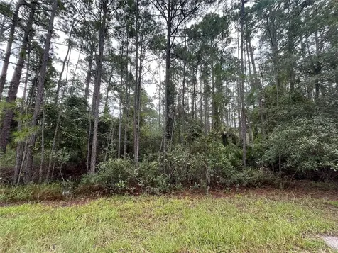 117 Mosswood Street Georgetown FL 32139