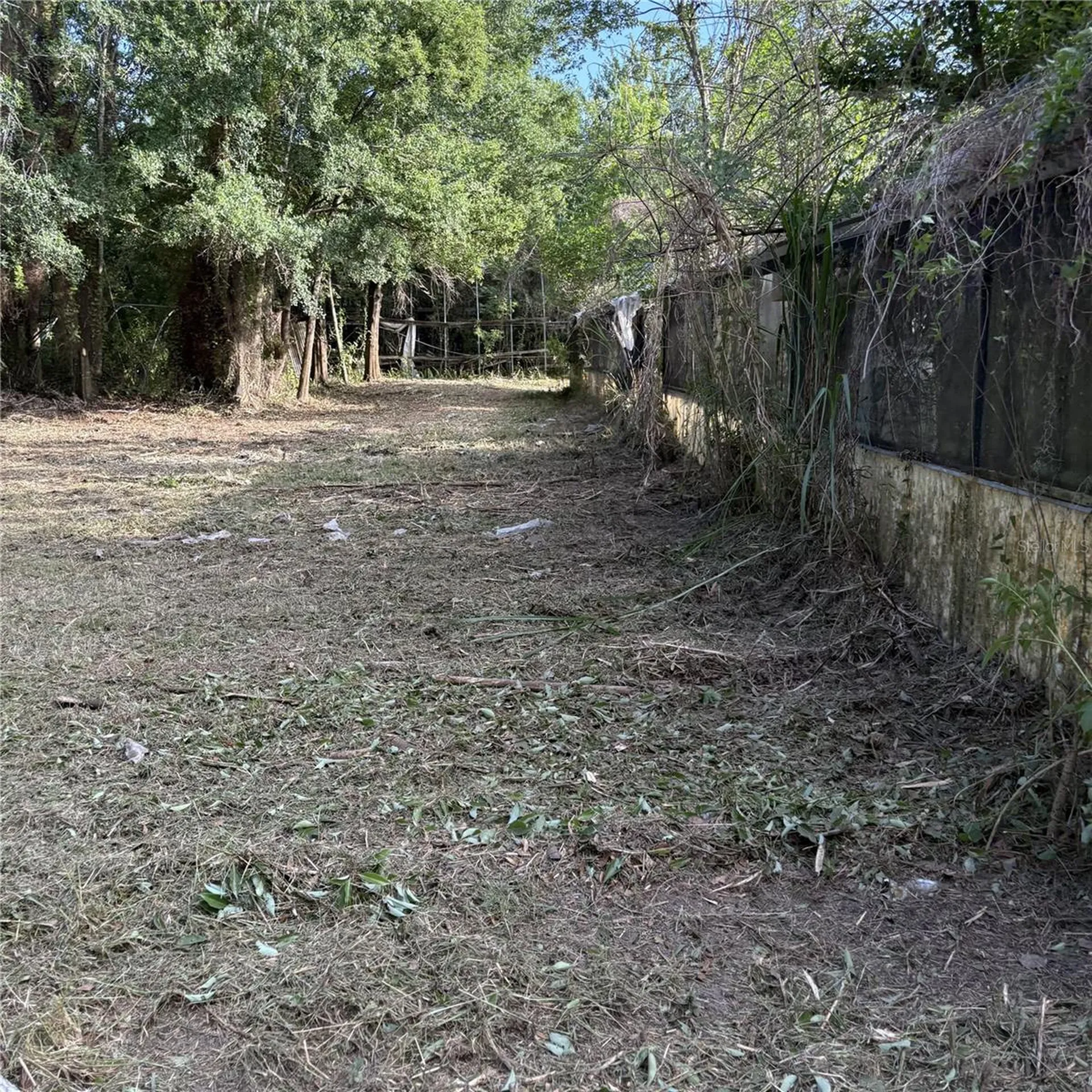 200 W English Street Plant City FL 33563