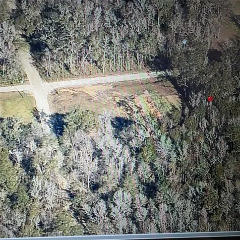 SW 14th Place Ocala FL 34481