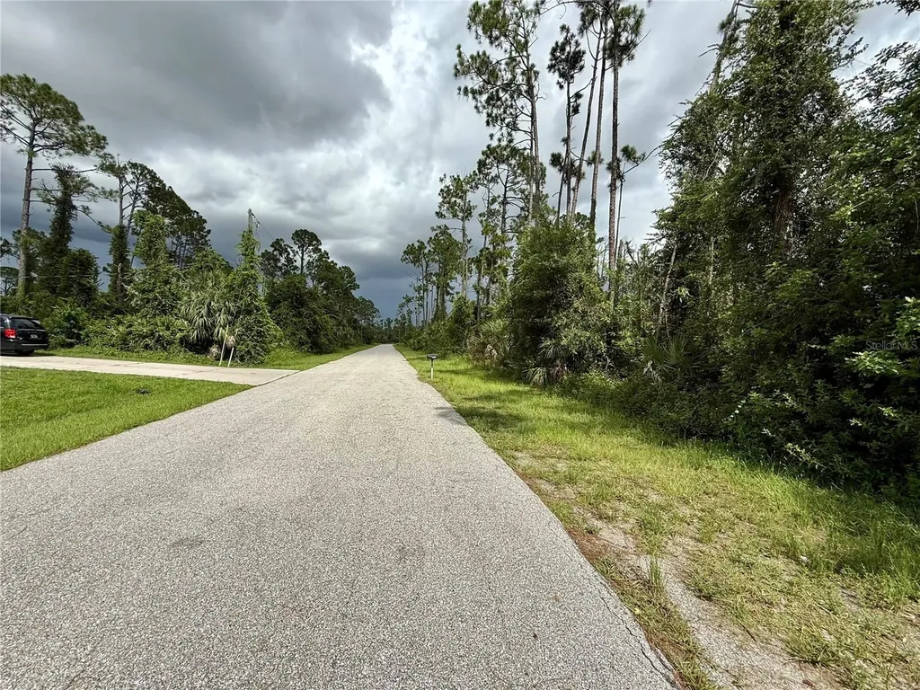 Dragonfly Avenue North Port FL 34288
