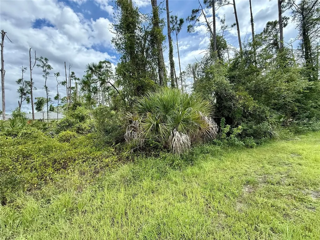 Dragonfly Avenue North Port FL 34288