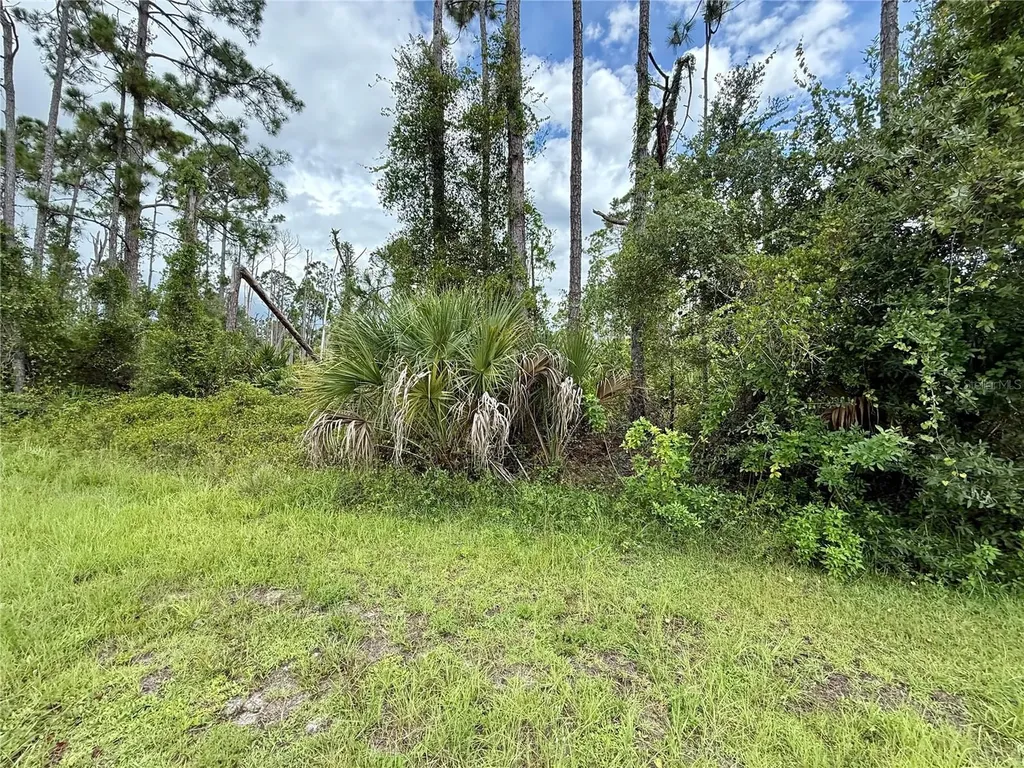 Dragonfly Avenue North Port FL 34288