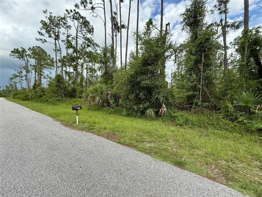 Dragonfly Avenue North Port FL 34288