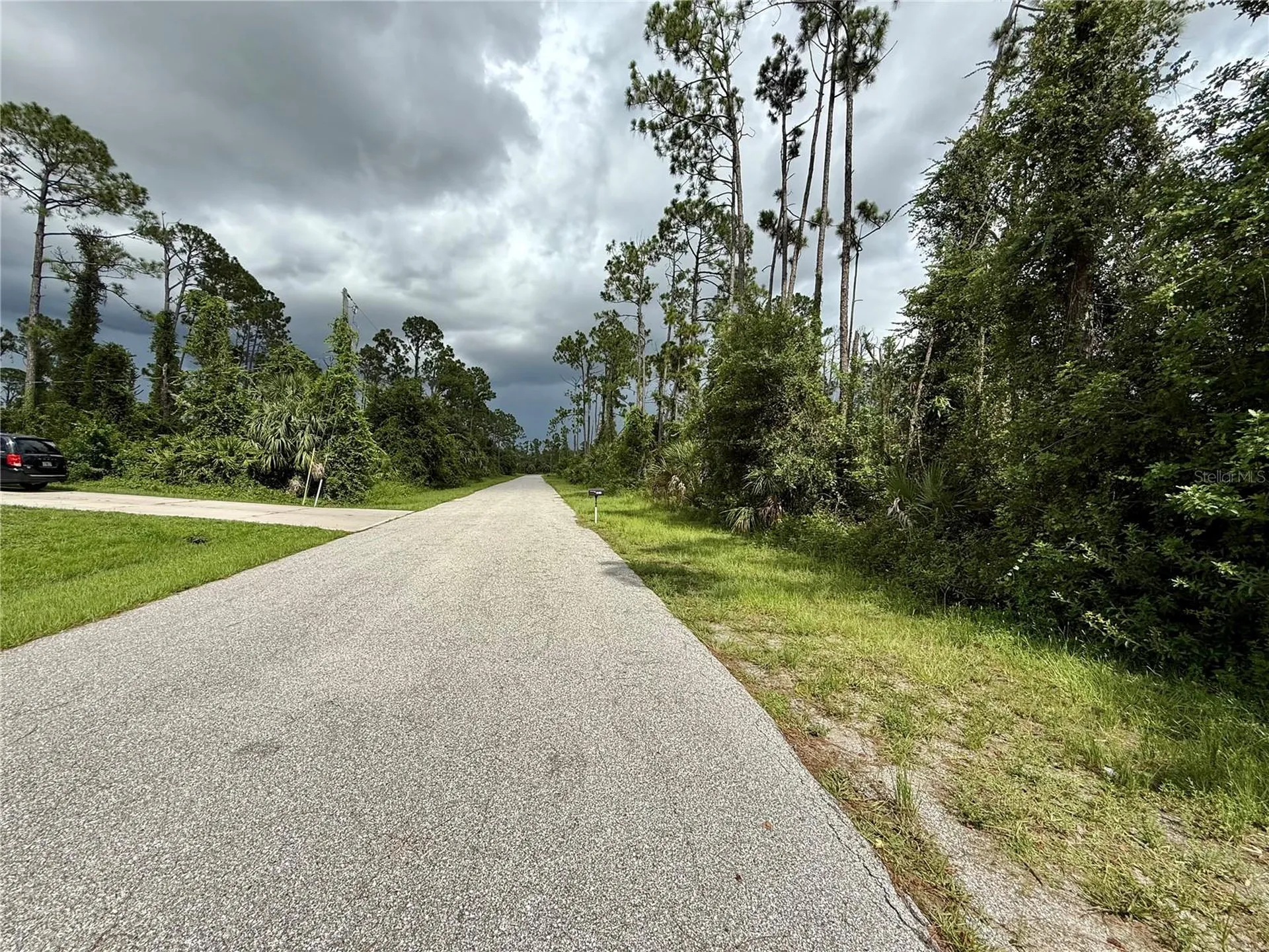 Dragonfly Avenue North Port FL 34288