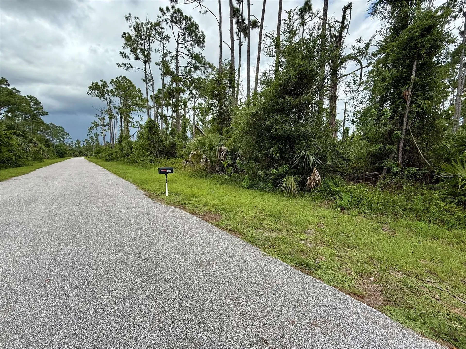 Dragonfly Avenue North Port FL 34288