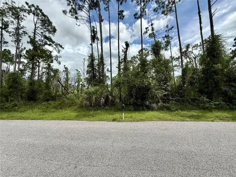 Dragonfly Avenue North Port FL 34288