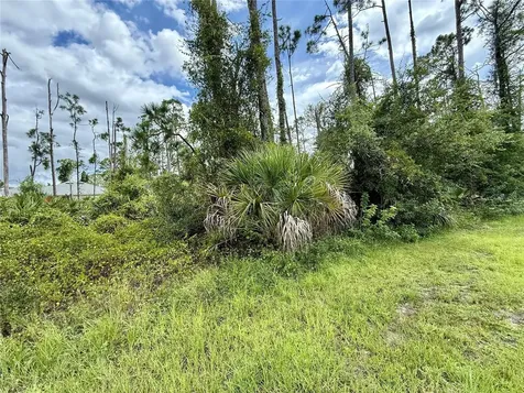Dragonfly Avenue North Port FL 34288