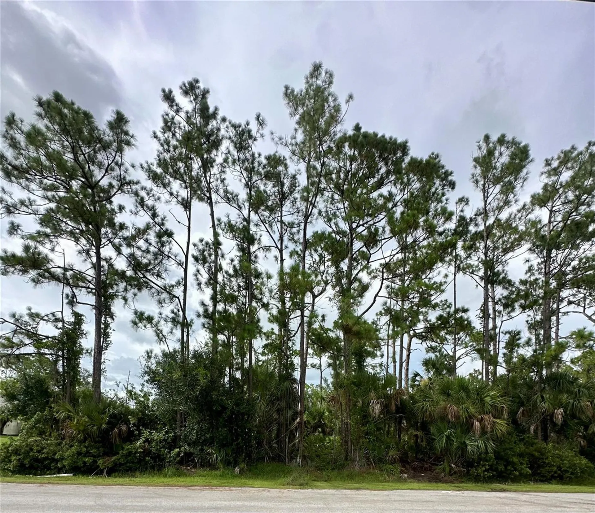 Lot 16 Donatello Avenue North Port FL 34286