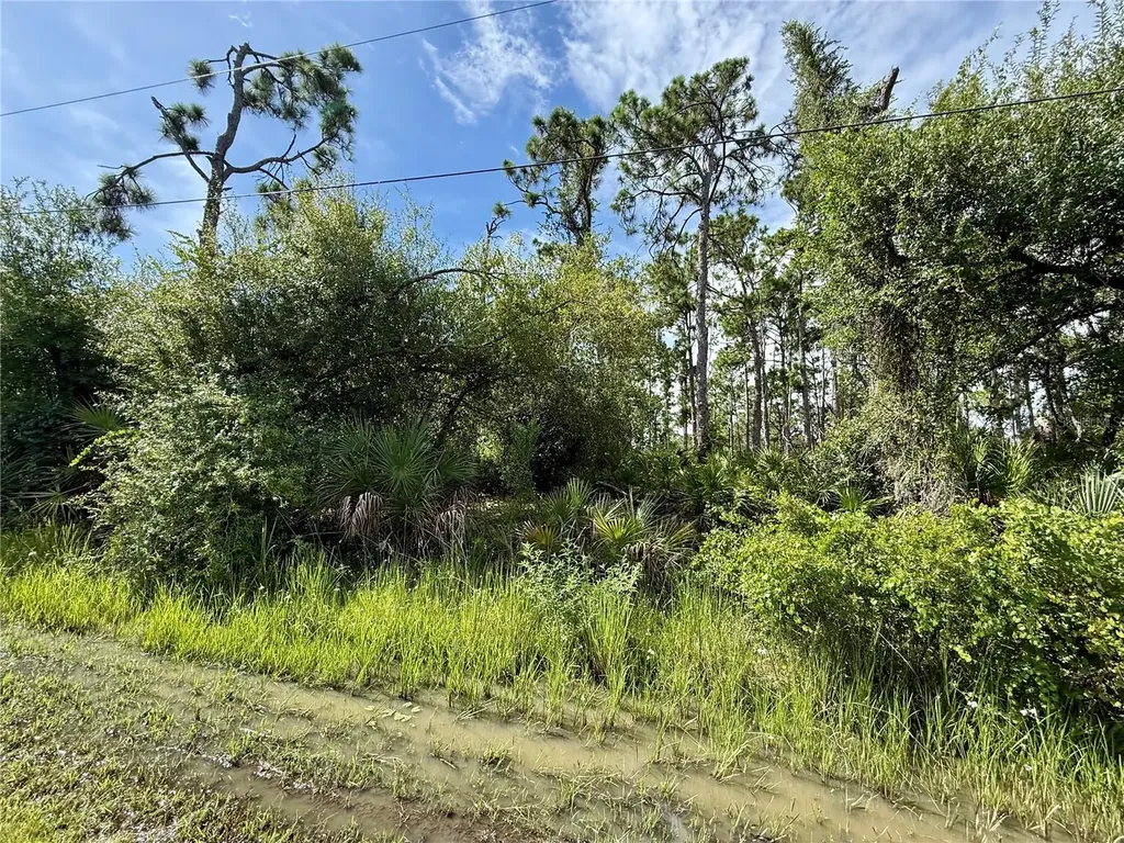 13165 Gotham Avenue Port Charlotte FL 33954