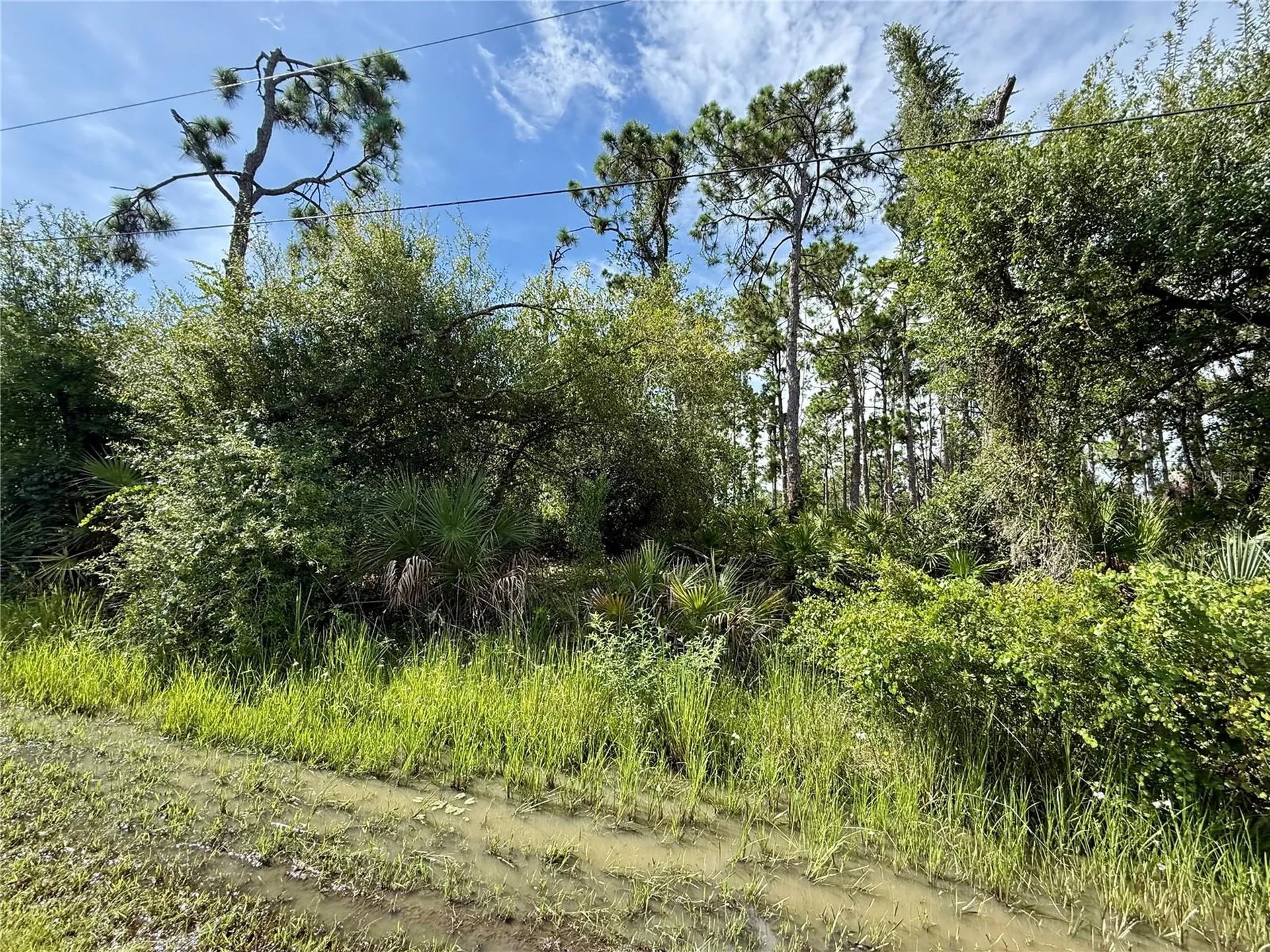 13165 Gotham Avenue Port Charlotte FL 33954