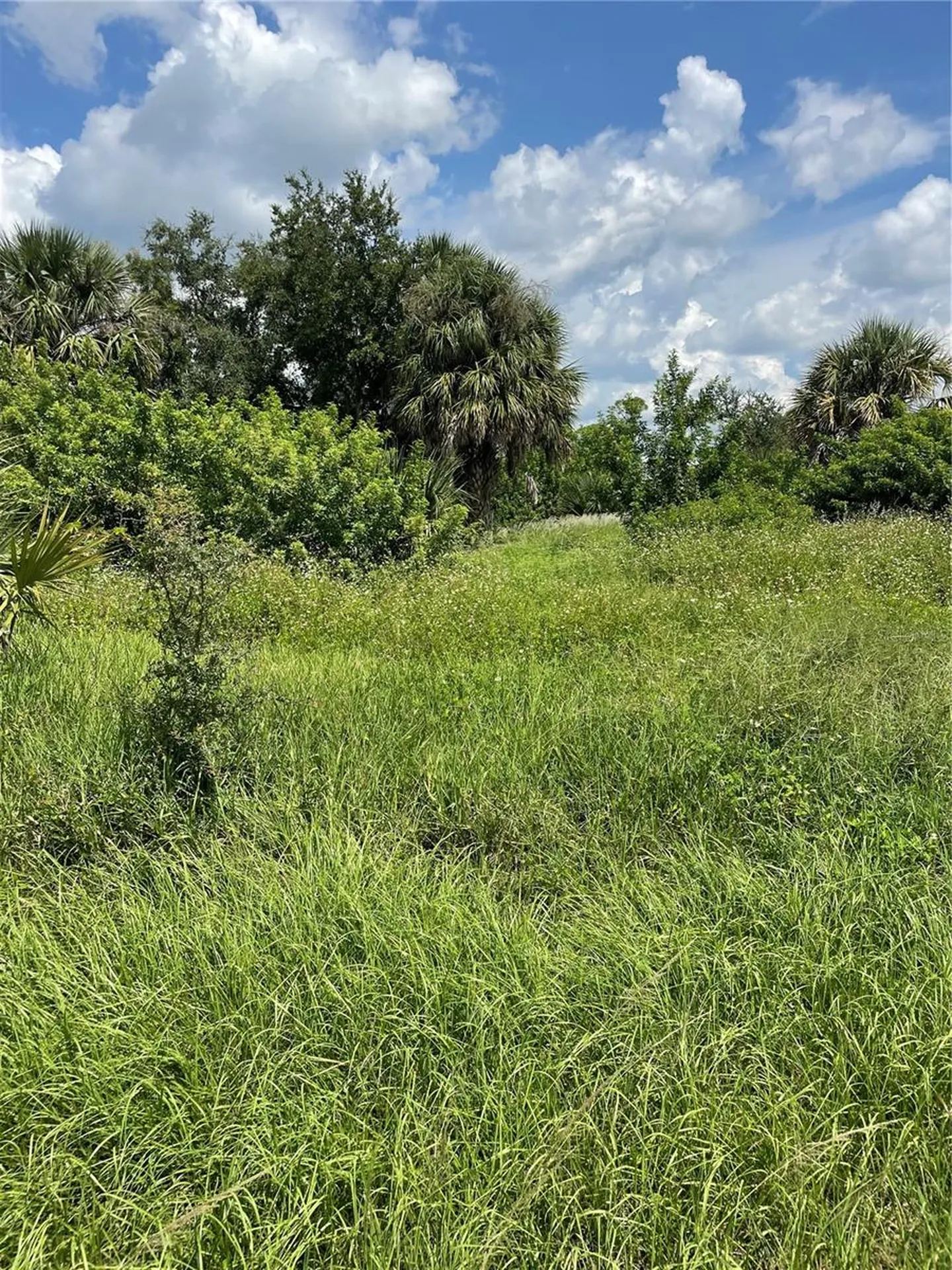 18286 Van Nuys Circle Port Charlotte FL 33948
